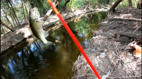 fishing creek trash floodwater San Antonio